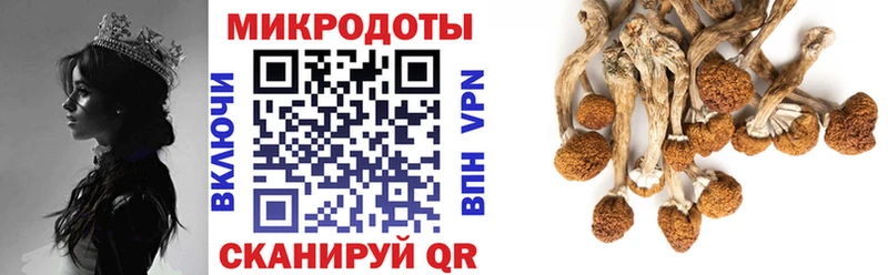 Галлюциногенные грибы мицелий  Купить закладки  Верхняя Салда 